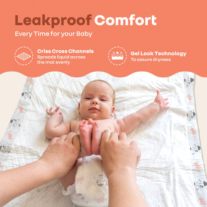 R for Rabbit HygoMat