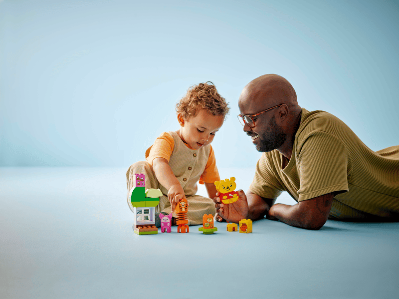 LEGO Winnie the Pooh's Birthday Party