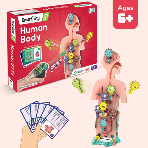 Smartivity Human Body DIY STEM Toy