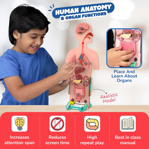 Smartivity Human Body DIY STEM Toy