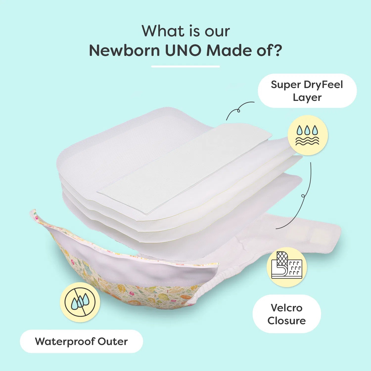 #variants_hunny_bummy