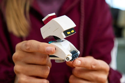 LEGO Disney and Pixar Wall-E and EVE