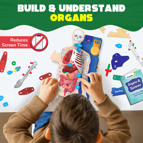 Smartivity Interactive Human Body