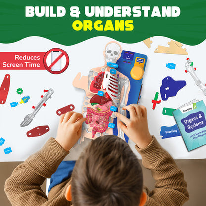 Smartivity Interactive Human Body