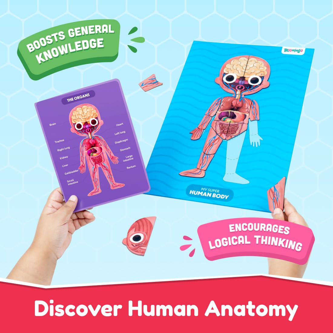 Bloomingo My Super Human Body