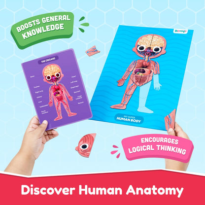 Bloomingo My Super Human Body