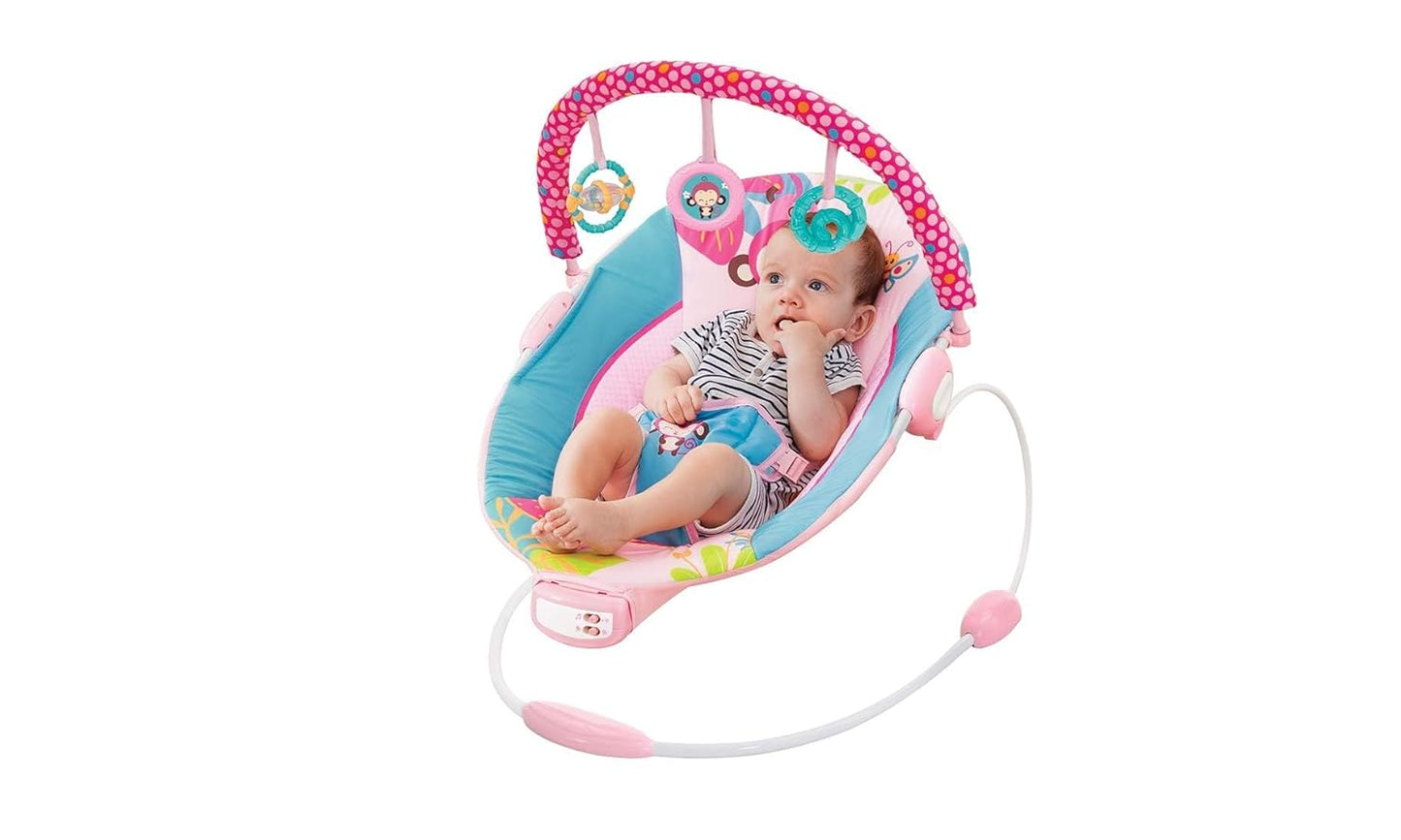 Mastela Toddler to Baby Rocker Bouncer Chair Musical