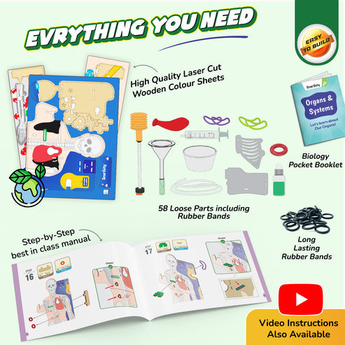 Smartivity Interactive Human Body