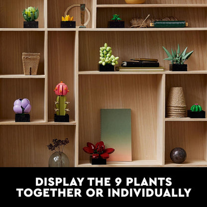LEGO Botanicals Succulents