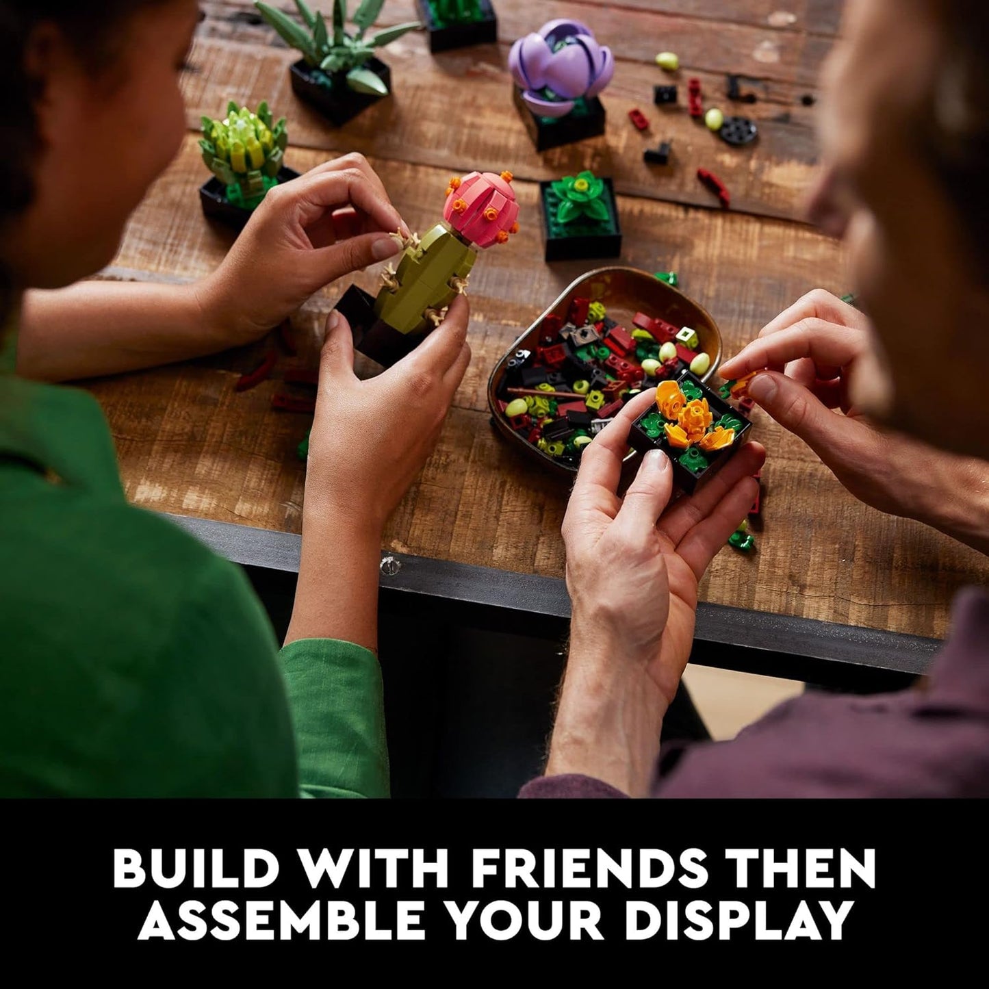 LEGO Botanicals Succulents