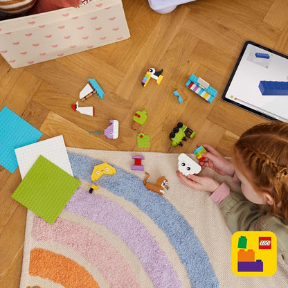 LEGO Creative Build and Play Box