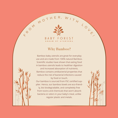 Baby Forest Laad Dulaar Bamboo Feeding Plate - Car Shape