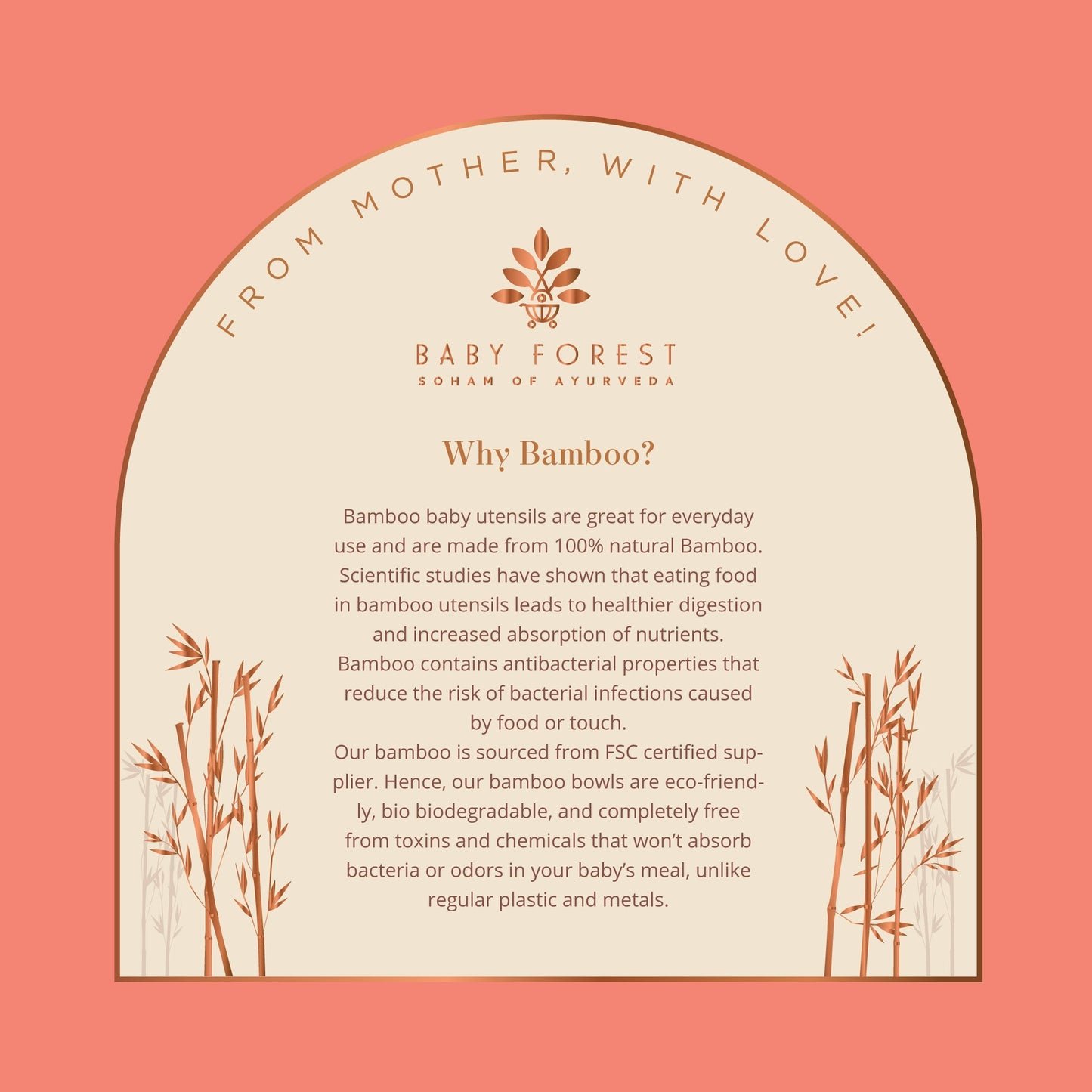 Baby Forest Laad Dulaar Bamboo Feeding Plate -Car Shape