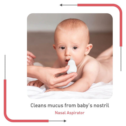 R for Rabbit Stylo All In One Grooming Kit